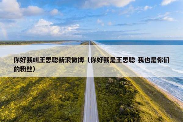 你好我叫王思聪新浪微博（你好我是王思聪 我也是你们的粉丝）