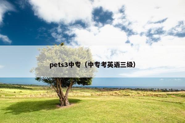 pets3中专（中专考英语三级）
