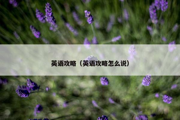 英语攻略（英语攻略怎么说）