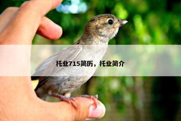 托业715简历，托业简介