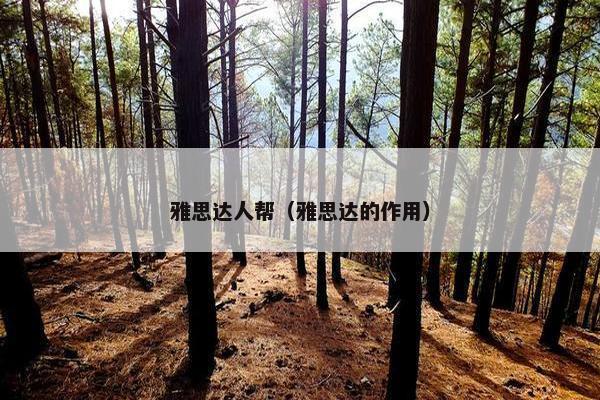 雅思达人帮（雅思达的作用）