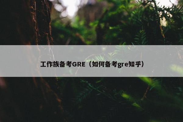 工作族备考GRE（如何备考gre知乎）