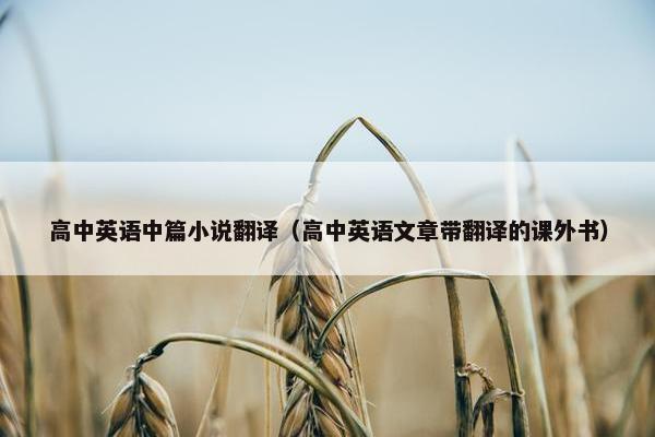 高中英语中篇小说翻译（高中英语文章带翻译的课外书）
