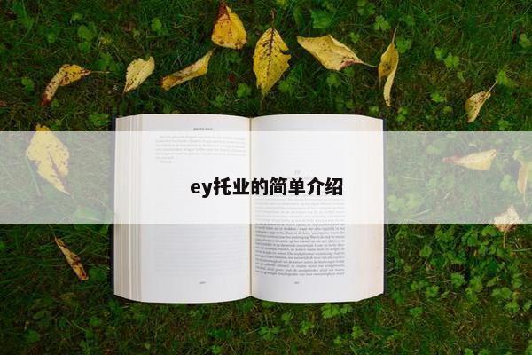 ey托业的简单介绍