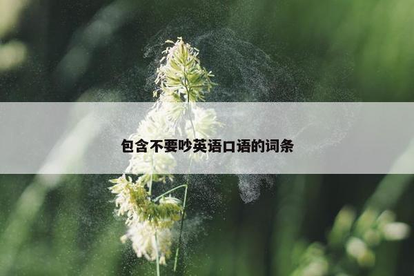 包含不要吵英语口语的词条