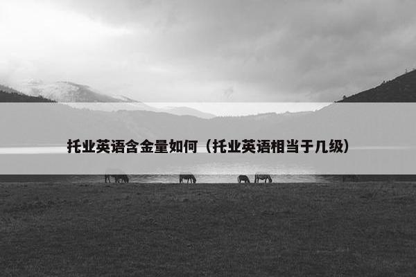 托业英语含金量如何（托业英语相当于几级）