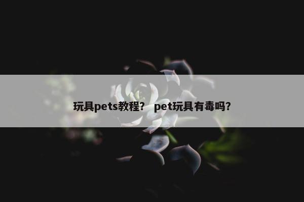 玩具pets教程？ pet玩具有毒吗？