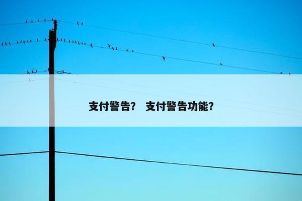 支付警告？ 支付警告功能？