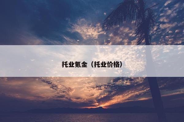 托业氪金（托业价格）