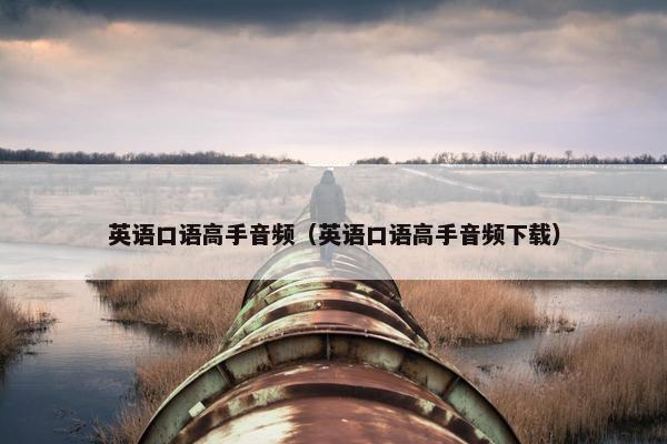 英语口语高手音频（英语口语高手音频下载）