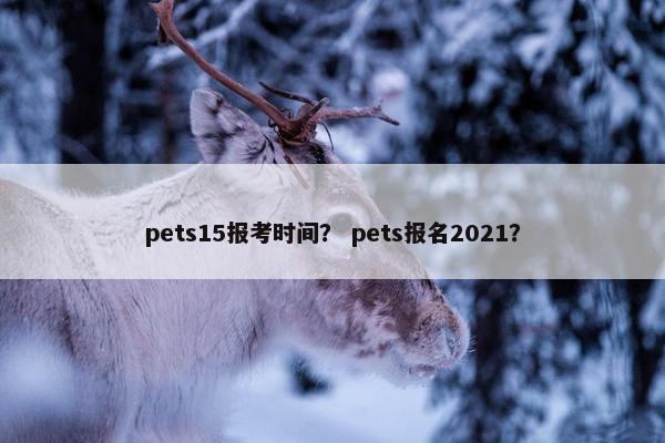 pets15报考时间？ pets报名2021？