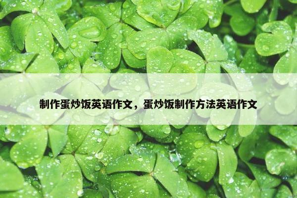 制作蛋炒饭英语作文，蛋炒饭制作方法英语作文