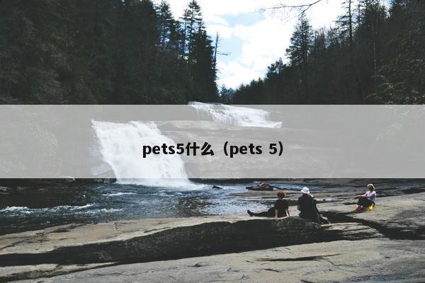 pets5什么（pets 5）