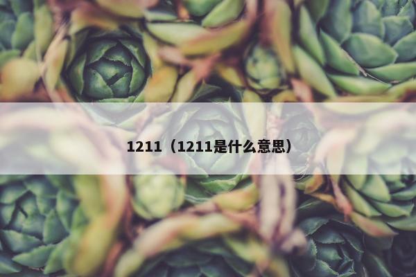 1211（1211是什么意思）