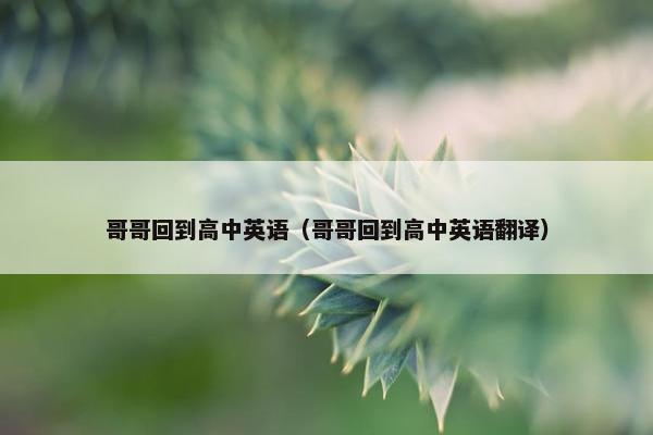 哥哥回到高中英语（哥哥回到高中英语翻译）