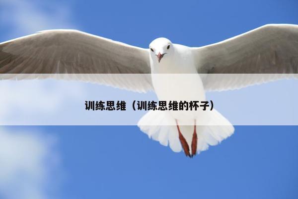 训练思维（训练思维的杯子）