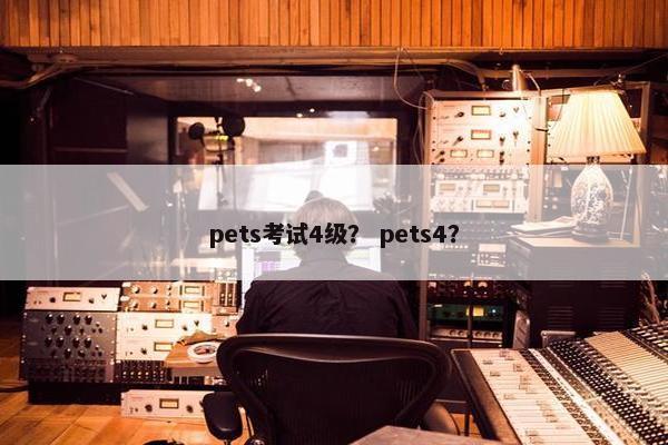 pets考试4级？ pets4？