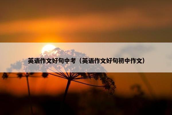 英语作文好句中考（英语作文好句初中作文）