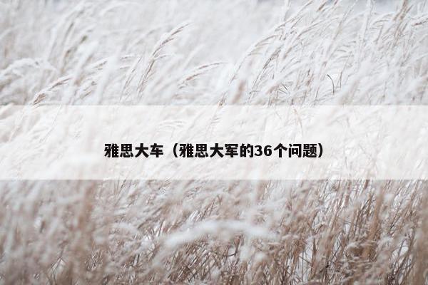雅思大车（雅思大军的36个问题）