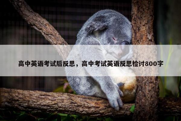 高中英语考试后反思，高中考试英语反思检讨800字