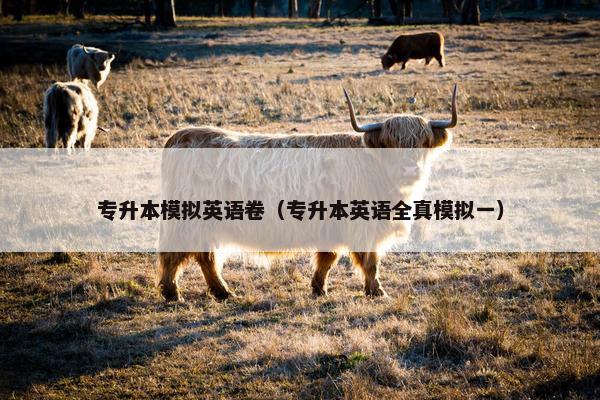 专升本模拟英语卷（专升本英语全真模拟一）