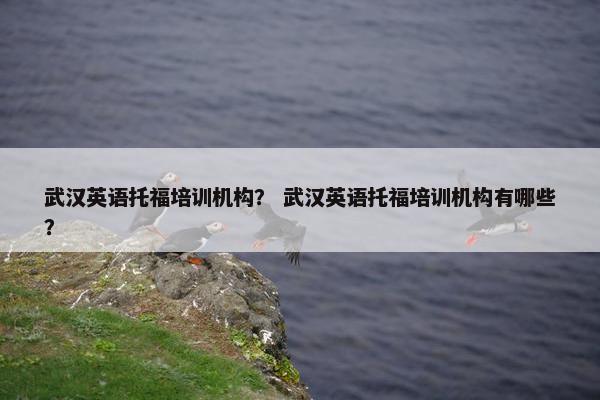 武汉英语托福培训机构？ 武汉英语托福培训机构有哪些？