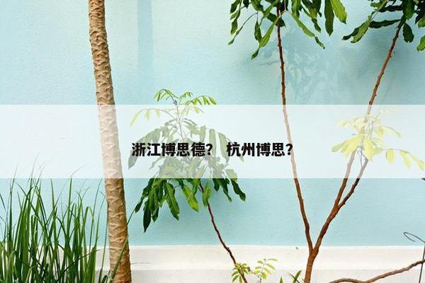 浙江博思德？ 杭州博思？