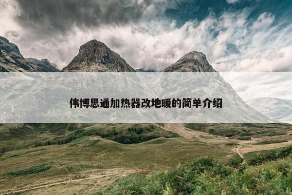 伟博思通加热器改地暖的简单介绍