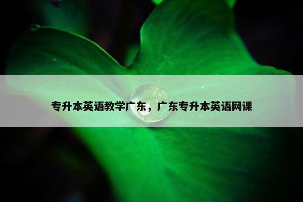 专升本英语教学广东，广东专升本英语网课