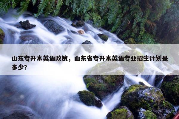 山东专升本英语政策，山东省专升本英语专业招生计划是多少?
