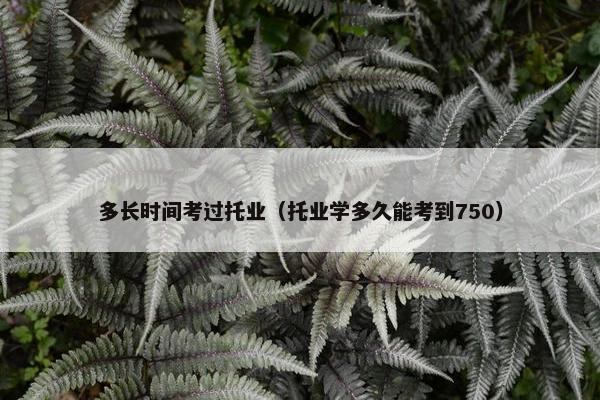 多长时间考过托业（托业学多久能考到750）