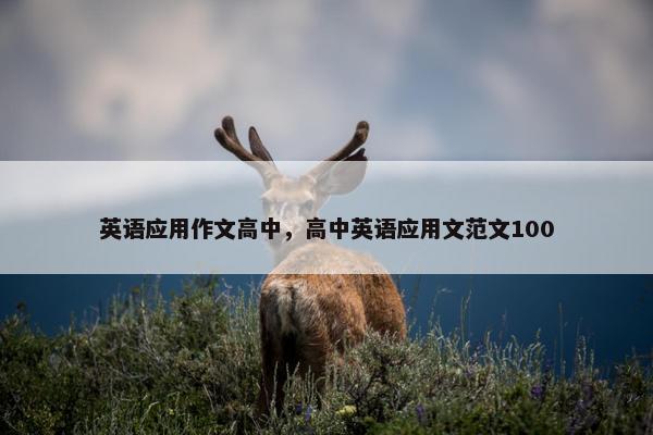 英语应用作文高中，高中英语应用文范文100