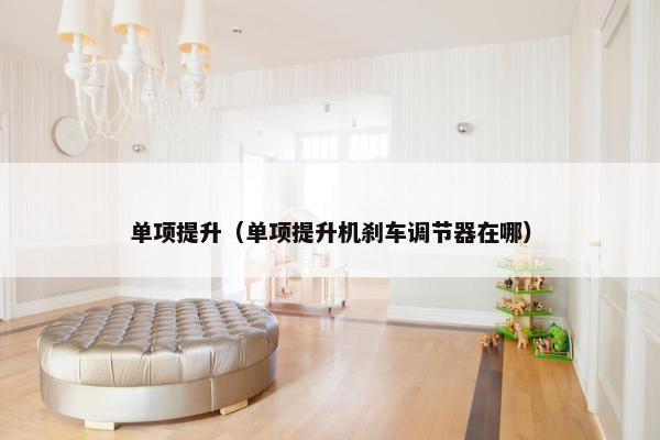 单项提升（单项提升机刹车调节器在哪）