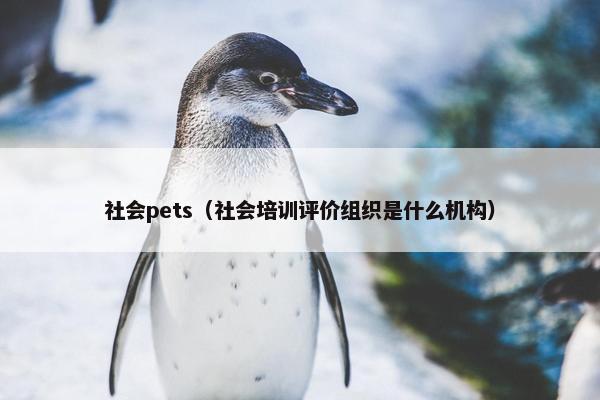 社会pets（社会培训评价组织是什么机构）