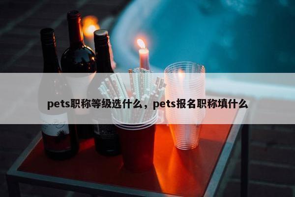 pets职称等级选什么，pets报名职称填什么