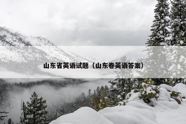 山东省英语试题（山东卷英语答案）