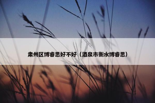 肃州区博睿思好不好（酒泉市衡水博睿思）