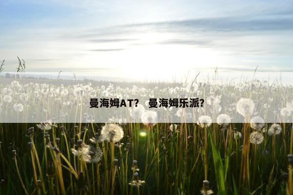 曼海姆AT？ 曼海姆乐派？