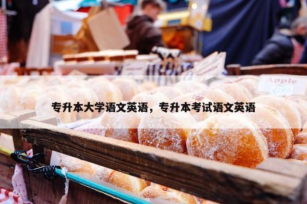 专升本大学语文英语，专升本考试语文英语