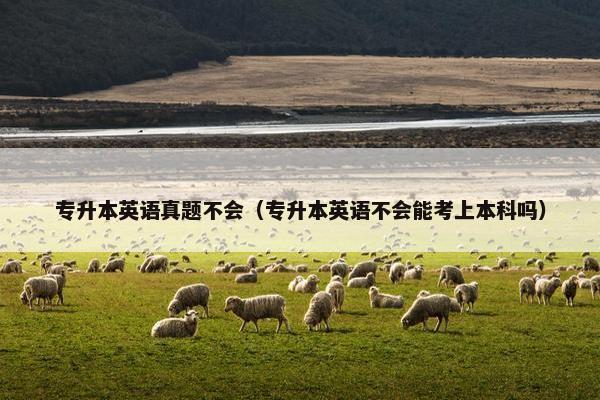 专升本英语真题不会（专升本英语不会能考上本科吗）