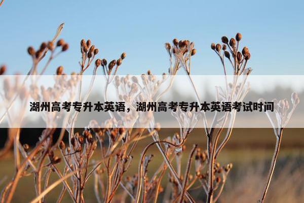 湖州高考专升本英语，湖州高考专升本英语考试时间