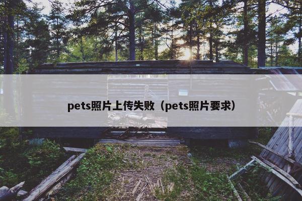 pets照片上传失败（pets照片要求）