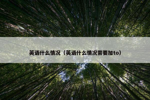 英语什么情况（英语什么情况需要加to）