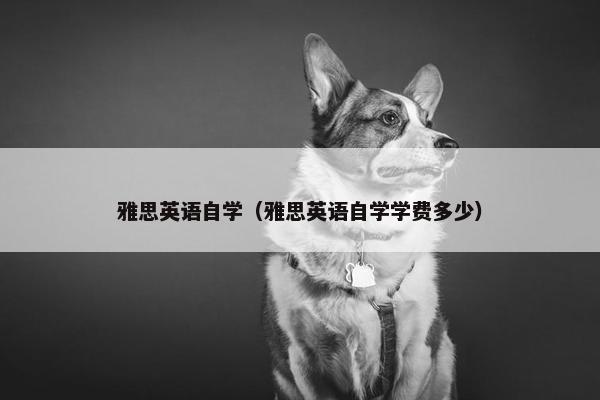 雅思英语自学（雅思英语自学学费多少）