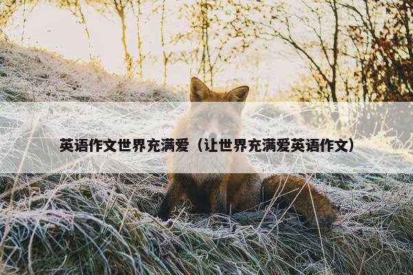 英语作文世界充满爱（让世界充满爱英语作文）