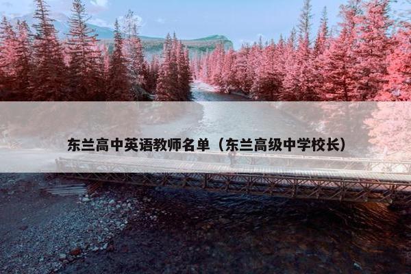 东兰高中英语教师名单（东兰高级中学校长）