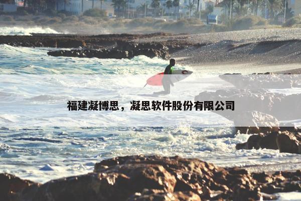 福建凝博思，凝思软件股份有限公司