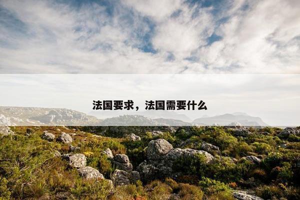 法国要求，法国需要什么