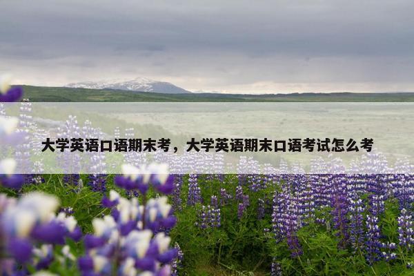 大学英语口语期末考，大学英语期末口语考试怎么考