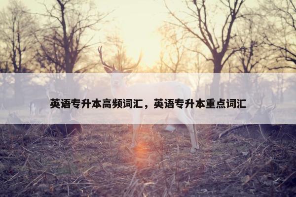 英语专升本高频词汇，英语专升本重点词汇